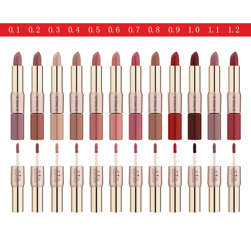 Lipstick & Gloss – 2-in-1 Matte Waterproof, Long-Lasting & Vibrant Colors