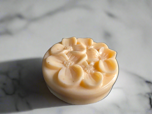 Savon à la tomate | Antioxydant naturel